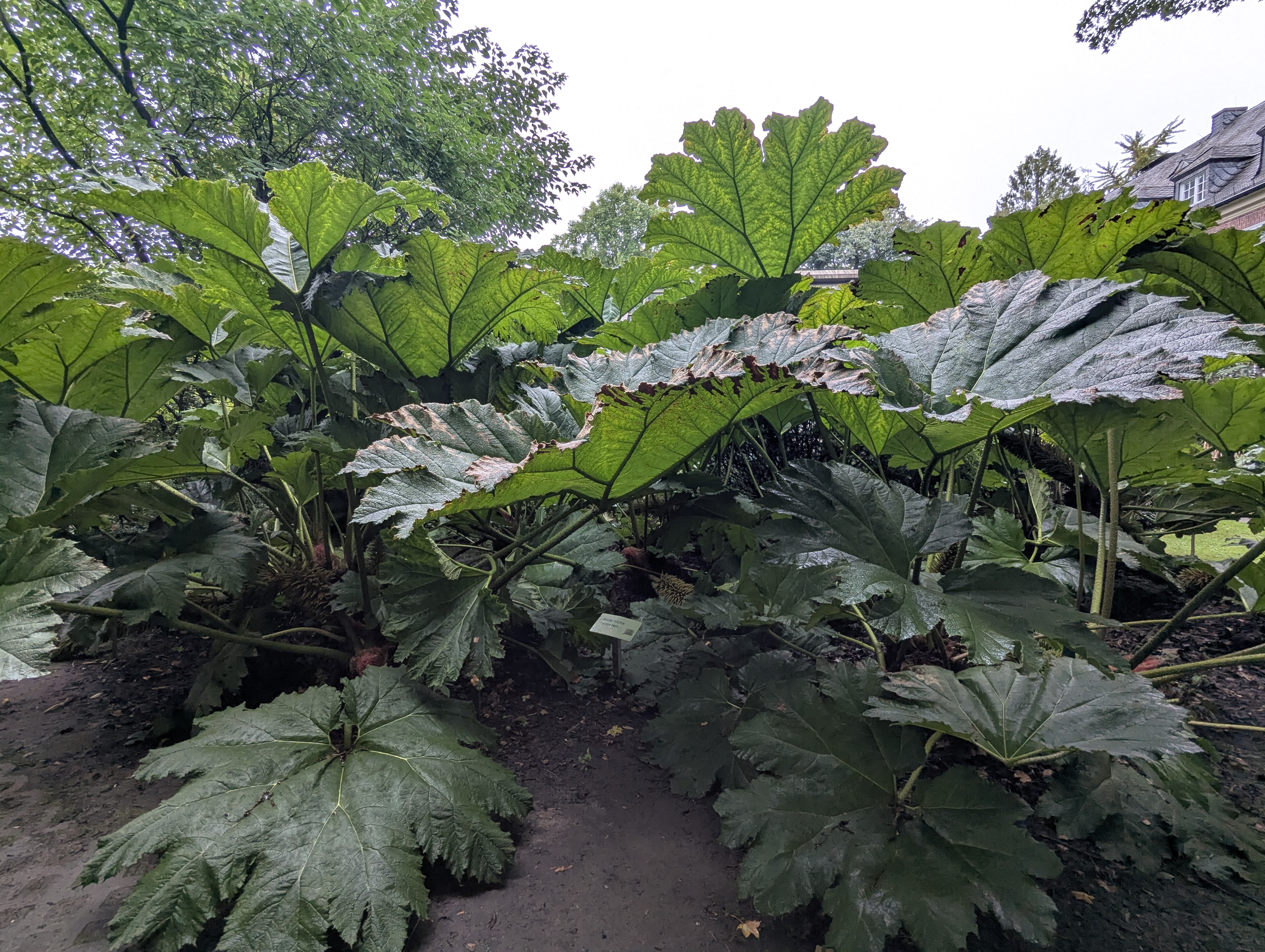 Botonic Gardens, Muenster, Germany